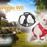Qinux Wigglo W8 Reviews